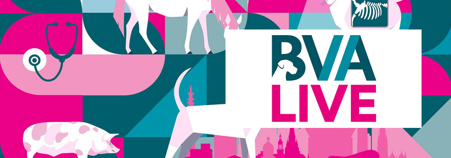 BVA Live | Birmingham