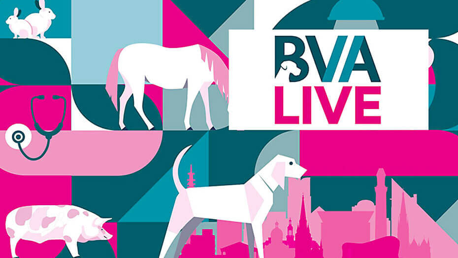 BVA Live | Birmingham