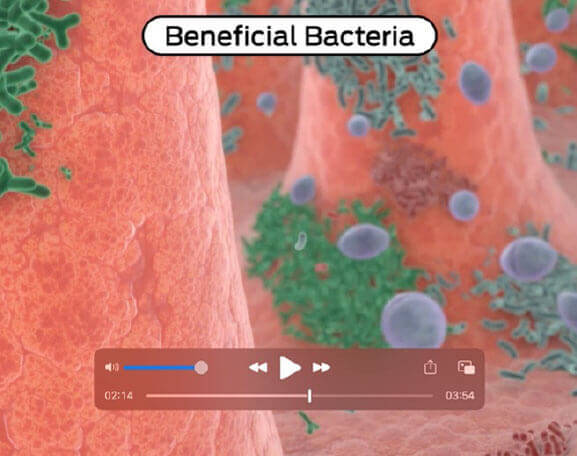 PRO PLAN® FortiFlora®. Toimintatavat