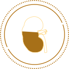 Kissan munuaisen kuva, joka symboloi varhaisen diagnoosin vaihetta.