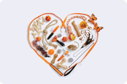 Käytännön työkalujen kuva