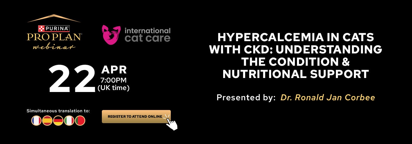 Hypercalcemia in cats with CKD: Understanding the Condition & Nutritional Support