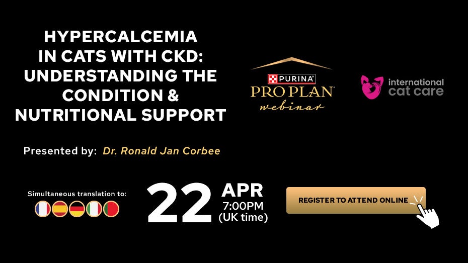 Hypercalcemia in cats with CKD: Understanding the Condition & Nutritional Support