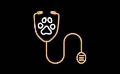 Olen eläinlääkäri