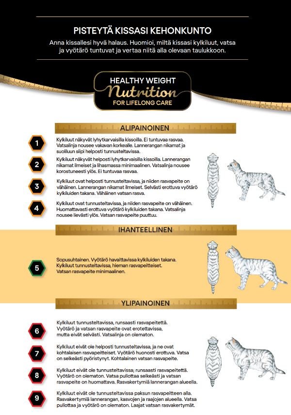 Body Condition System - Kissa - A4 juliste 