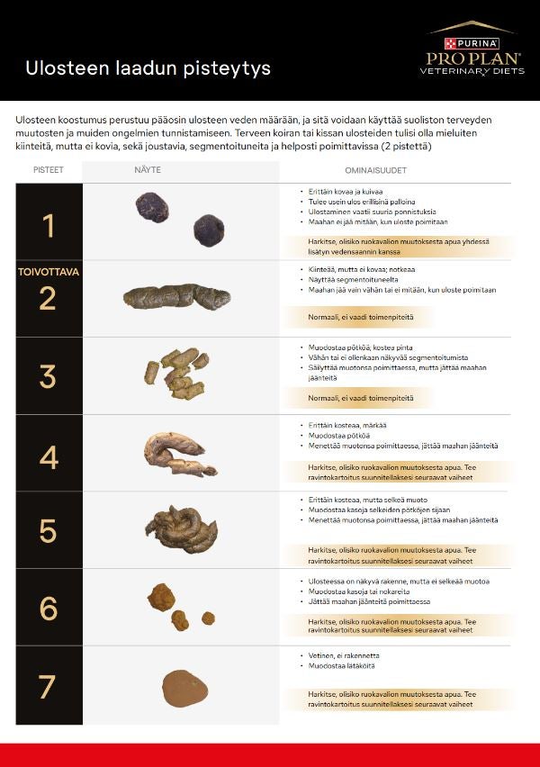 Ulosteen laadun pisteytys - A4 juliste