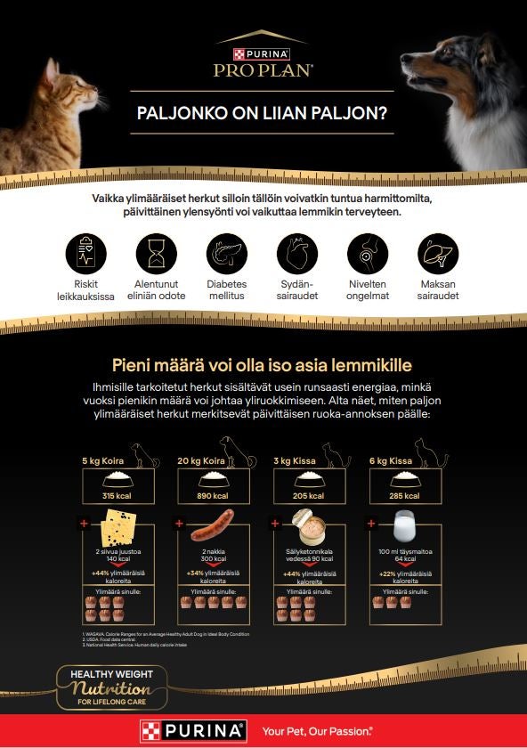 Herkkujen energiapitoisuus - juliste