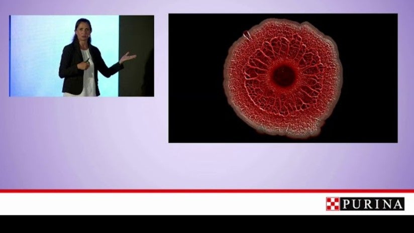 Purina Symposium 2019 - Naama Geva-Zatorsky