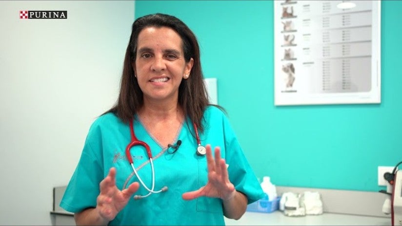 Tapausselostus – Diabetes Management – Dr. Maria Joao Fonseca