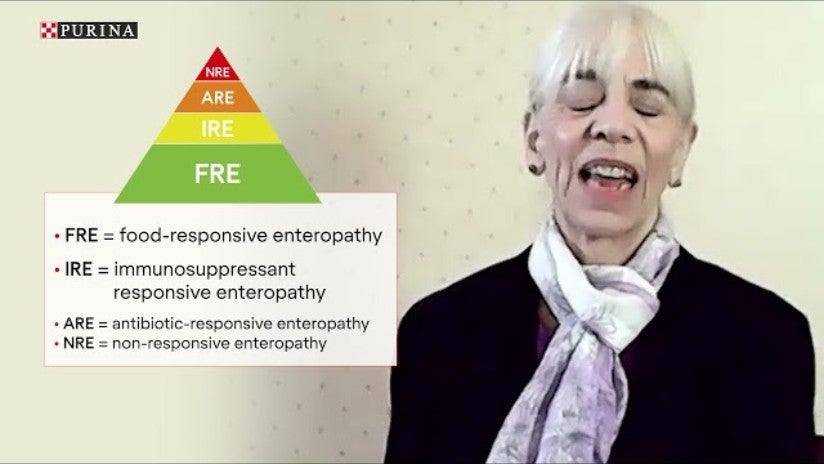 Tapausselostus – Hypoallergenic – Dr. Marge Chandler