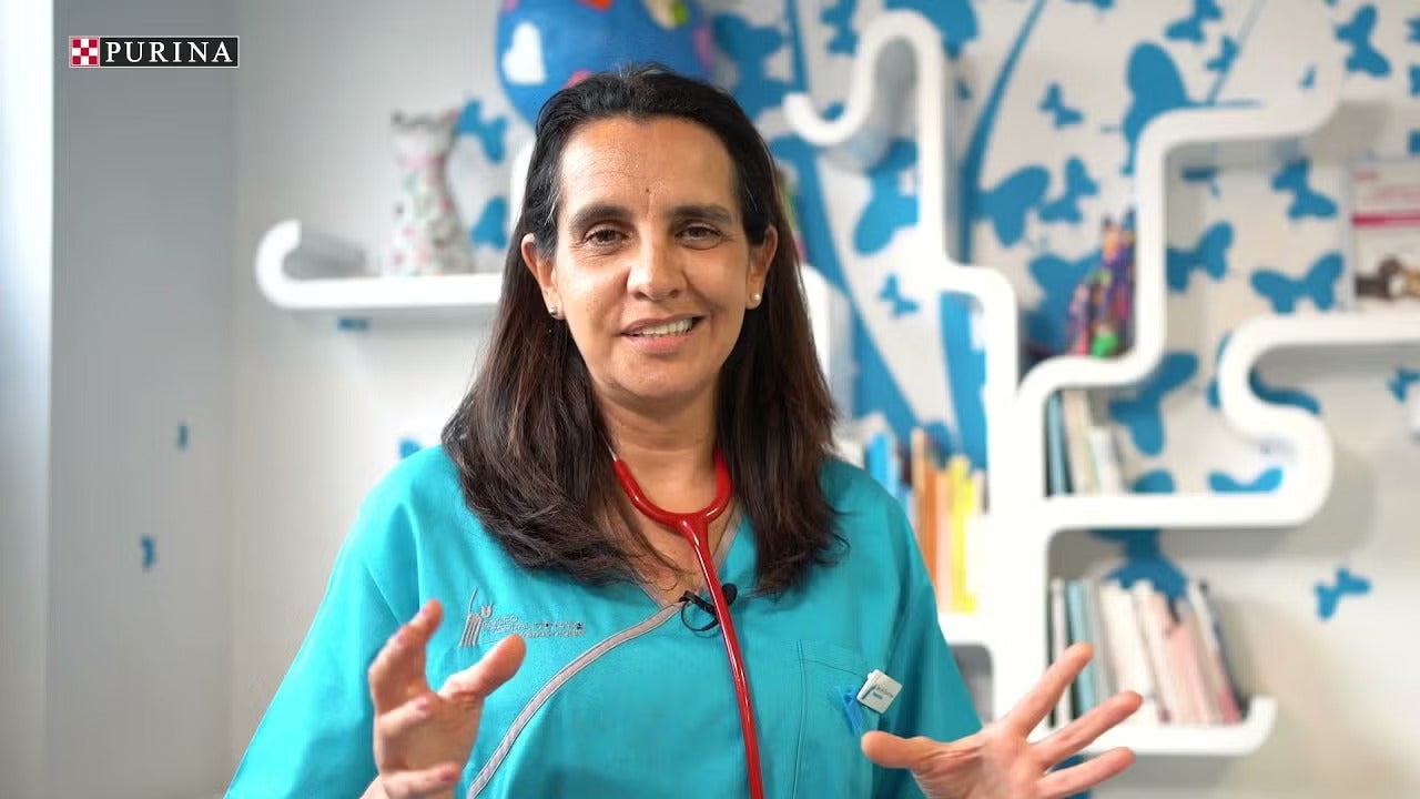 Mielipidejohtajien kokemuksia Purinasta