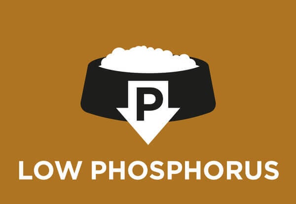 Matala fosforipitoisuus