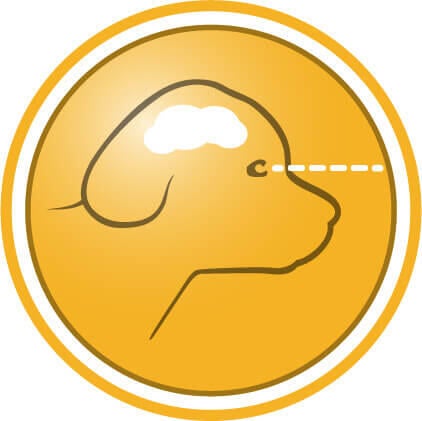 Tukee aivojen ja näön tervettä kehitystä