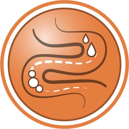 Parantaa ulosteen laatua