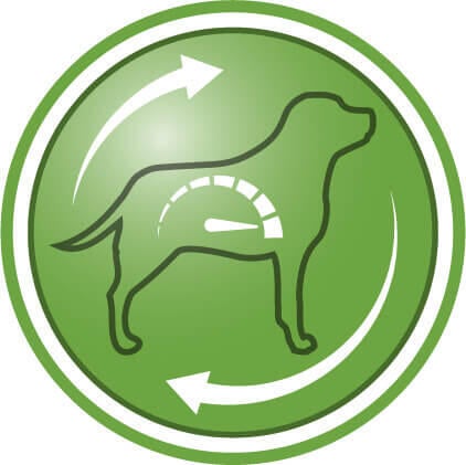 Auttaa vähentämään nälän tunnetta ja lisäämään kylläisyyden tunnetta