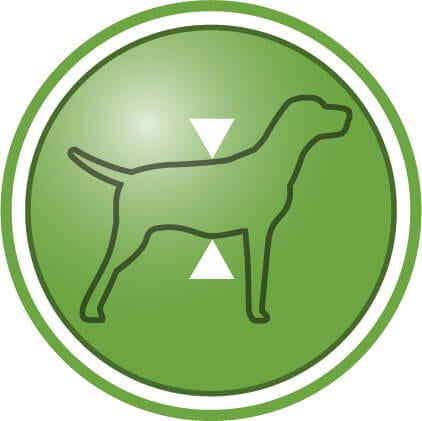 Auttaa ylläpitämään lihasmassaa