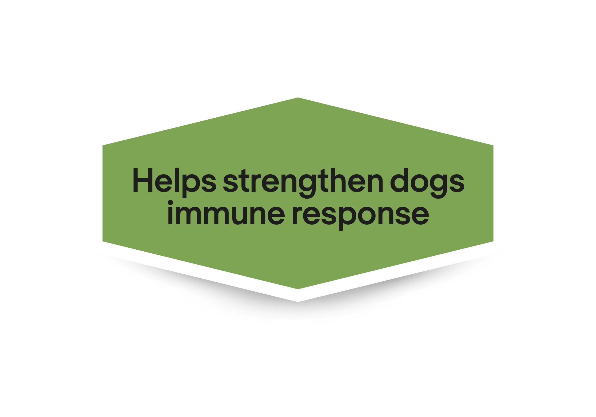 Auttaa vahvistamaan koiran immuunivastetta