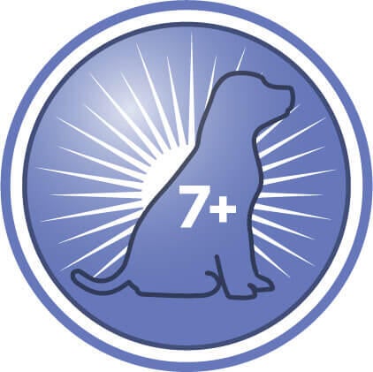 Auttaa lisäämään ikääntyvän koiran aktiivisuutta, eloisuutta ja vuorovaikutteisuutta leikkihetkissä