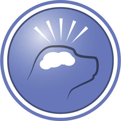 Auttaa todistetusti tukemaan kognitiivisia toimintoja ja lisäämään aktiivisuutta