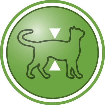 Auttaa ylläpitämään rasvatonta ruumiinmassaa steriloinnin jälkeen