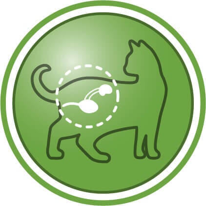 Auttaa ylläpitämään virtsatieterveyttä leikatuilla kissoilla