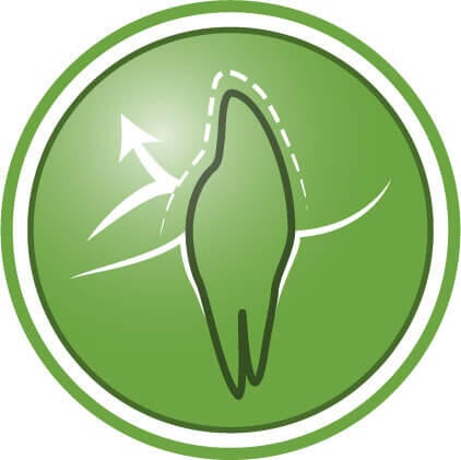 Auttaa suojaamaan hampaita plakilta ja hammaskiven kertymisltä 