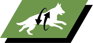 Tukee nivelterveyttä ja aktiivista elämää