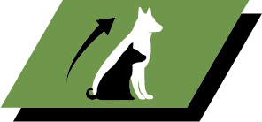 Terve kasvu ja pitkäaikainen terveys