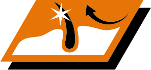 Pidä koirasi turkki kauniin kiiltävänä