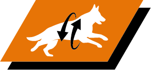 Tukee nivelterveyttä ja aktiivista elämää