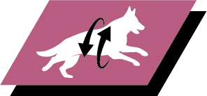 Tukee nivelterveyttä ja aktiivista elämää