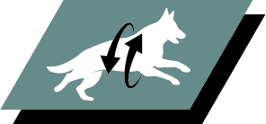 Tue nivelterveyttä ja aktiivista elämää