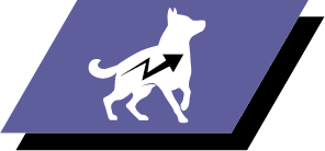 Lisääntynyt kestävyys