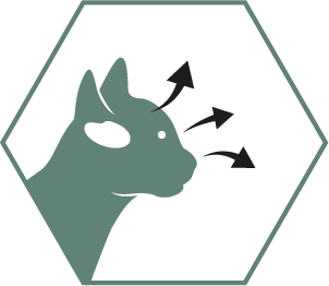 Auttaa tukemaan tervettä näköä ja aivojen kehitystä DHA:n ansiosta