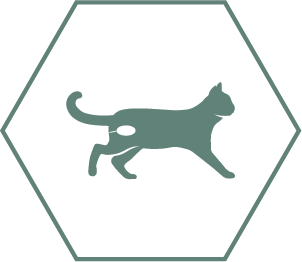Tukee leikatun kissan virtsatieterveyttä tasapainoisten kivennäisaineiden ansiosta