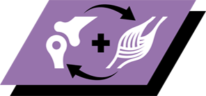 Auttaa tukemaan tervettä luiden ja lihasten kasvua