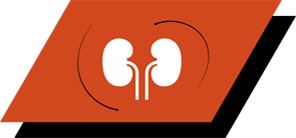 Sisältää arginiinia, antioksidantteja ja omega-3-rasvahappoja, jotka edistävät munuaisterveyttä