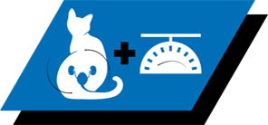 Kehitetty leikatuille kissoille virtsatieterveyden ja ihannepainon ylläpitoon