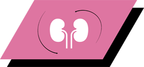 Sisältää arginiinia, antioksidantteja ja omega-3-rasvahappoja, jotka edistävät munuaisten terveyttä