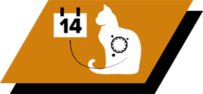 Auttaa rajoittamaan liiallista karvan irtoamista ja vähentämään karvapallojen muodostumista poistamalla ulosteessajopa kaksi kertaa enemmän karvoja kuin tavallinen kissanruoka vain 14 päivässä*