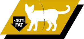 Sisältää runsaasti proteiinia ja 30 % vähemmän rasvaa*, mikä auttaa lihasmassan ylläpidossa ja rasvan karistamisessa
