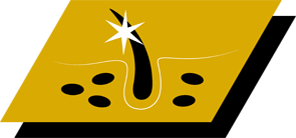 Auttaa säilyttämään terveen ihon ja kiiltävän turkin A-vitamiinin, linolihapon ja sinkin ansiosta