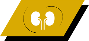 Sisältää arginiinia, antioksidantteja ja omega-3-rasvahappoja, jotka edistävät munuaisten terveyttä