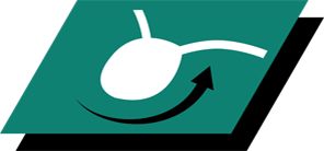 Auttaa tukemaan virtsateiden terveyttä laimentamalla virtsaa*