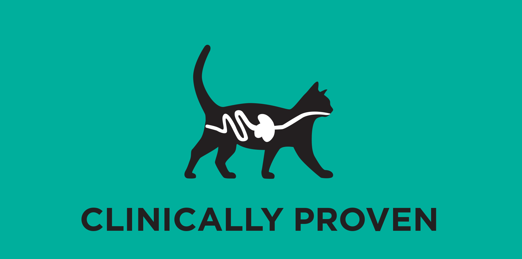 Kliinisesti todistettu