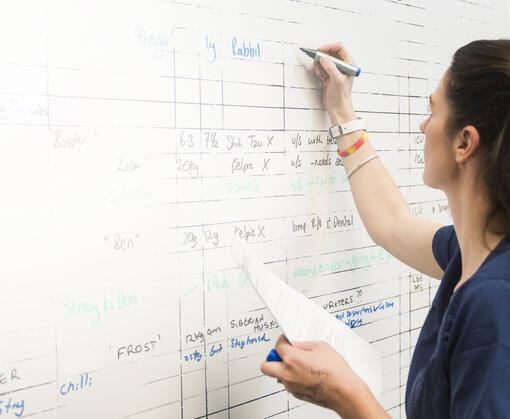 Opiskelijoiden akatemia