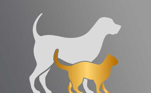 Muut aiheet / Sekalaiset