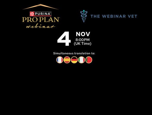 The Role of Low-Fat Diets in Managing Fat-Sensitive Diseases in Dogs