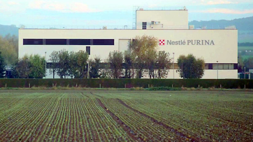 Intohimona ravitsemus | Meet Purina